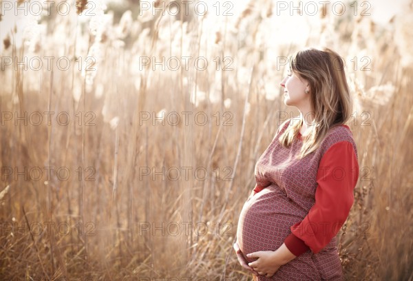 Young pretty pregnant woman outdoors on sunset in the field