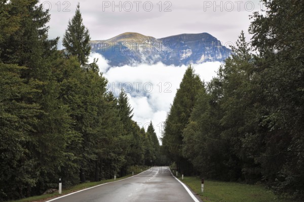 Wet shiny road in the Swiss Alps. Cold autumn day, low cumulus clouds