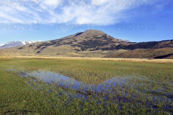 Spacious Valley National Park Perito Moreno. The central part of the valley - is a water meadow. Valley surrounded by mountains in the distance
