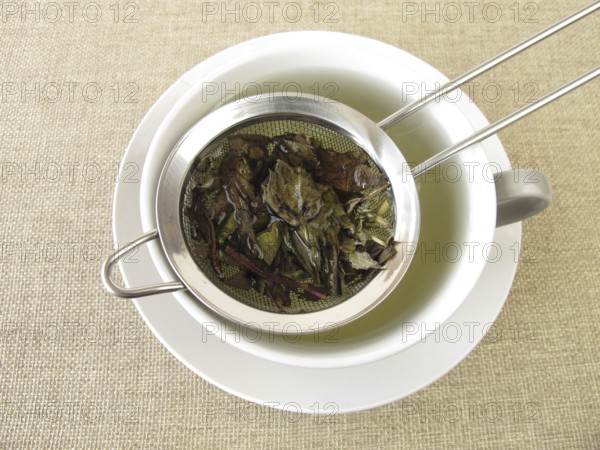 Peppermint tea in a tea strainer