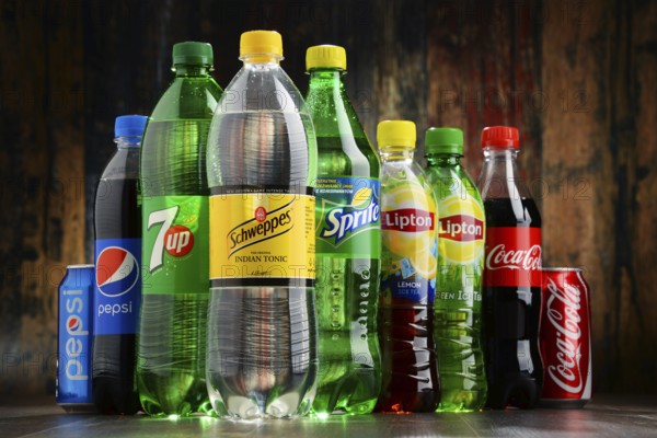 Global soft drink market is dominated by brands of few multinational companies founded in North America. Among them are Pepsico, Coca Cola and Dr. Pepper Snapple Group