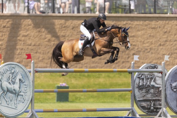 Vaclav Stanek from Czechoslovakia, and riding Quintin, compete in the 1.60m Grand Prix during The Continental international competition at Spruce Meadows, in Calgary, Canada, North America