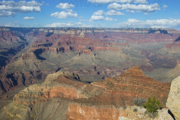 Grand Canyon, South Rim, Garnd Canyon National Park, Nevada, USA, United States of America, North America