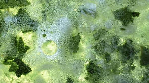 Color of life green background. Fermentation stimulating substances, fermented broth. Chlorophyll-rich object. High concentration of organic matter, Bubbles of effervescence