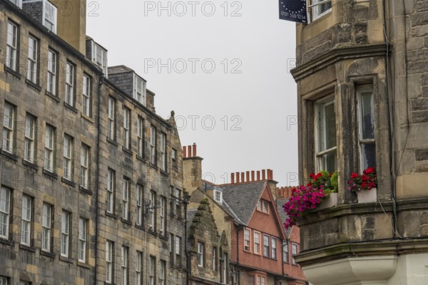 Urban environment with historic buildings and blooming flowers on windows, edinburgh, Scotland, United Kingdom, Europe