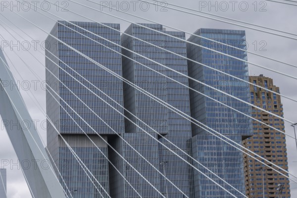 Close-up of modern skyscrapers and cables on a bridge in Rotterdam, Rotterdam, Netherlands