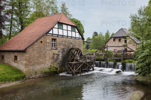 Oil mill, 18th century, Schloss Brake castle, Lemgo, North Rhine-Westphalia, Germany, Europe