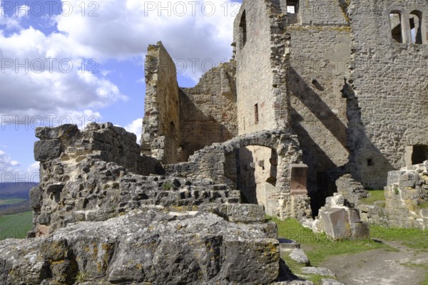 Homburg castle ruins and Homburg ruins nature reserve with the largest contiguous dry grassland in Germany and steppe heath forest on Hohhafter Berg near Gössenheim and Karsbach, Lower Franconia, Franconia, Bavaria, Germany, Europe