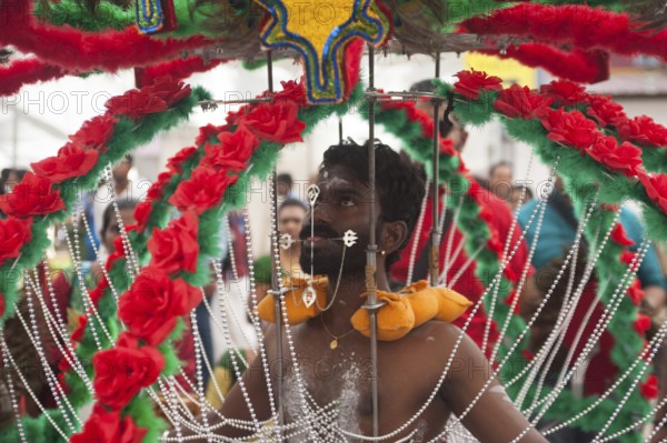 31.01.2018, Singapore, Republic of Singapore, Asia, The skin of a devout Hindu is pierced with hooks on his upper body as he prepares for the Thaipusam festival procession at the Sri Srinivasa Perumal Temple in Little India, which leads to the Sri Thendayuthapani Temple in Tank Road, 4 kilometres away. During the procession, many of the male devotees wear a so-called kavadi, which is pierced with hooks and skewers through the skin on various parts of the body such as the back and chest, Asia