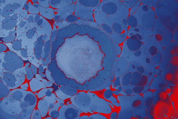 Beautiful abstract art of Ebru marbling painting techniques on water with acrylic paints