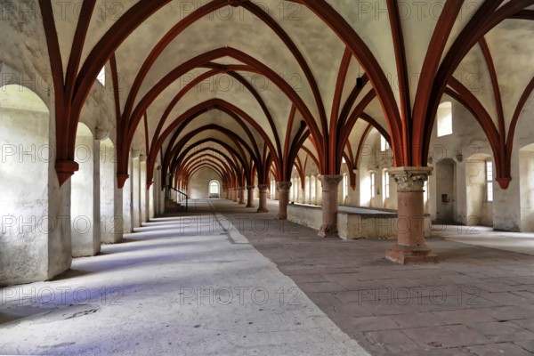 Eberbach Monastery, founded in 1136, Eltville am Rhein, Rheingau, Hesse, Germany, Long Gothic hall with red arches and stone pillars stretching into the distance and showing historical presence, Eltville am Rhein, Rheingau, Hesse, Germany, Europe