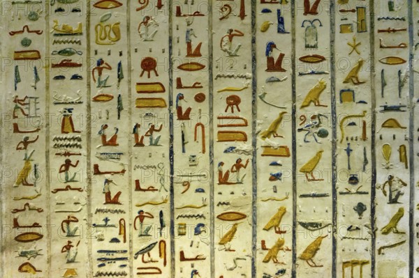 Ancient color egypt images and hieroglyphics on wall
