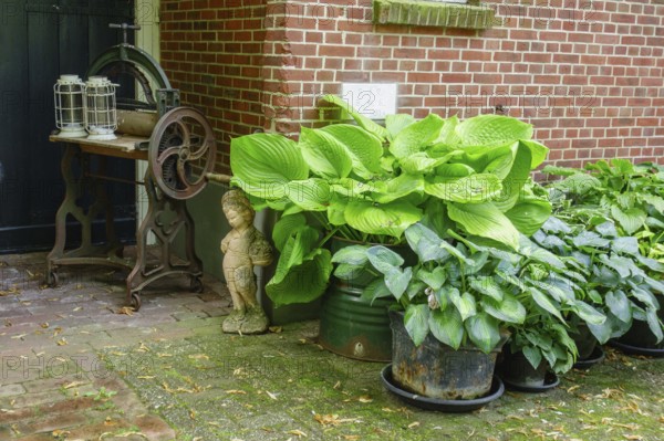 An arrangement of plants in pots in front of a brick wall with antique elements, Aalten, Gelderland, Netherlands