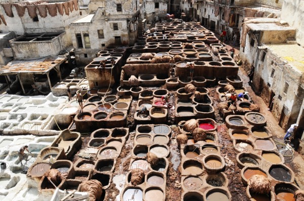 Workers, Chouwara tanners' and dyers' quarter in Fes El Bali, Medina, UNESCO World Heritage Site, Fes, Craftsmen working on leather in a traditional tannery, Northern Morocco, Morocco, Traditional Moroccan tannery with numerous round barrels in a city environment, Fes, Northern Morocco, Morocco, Africa