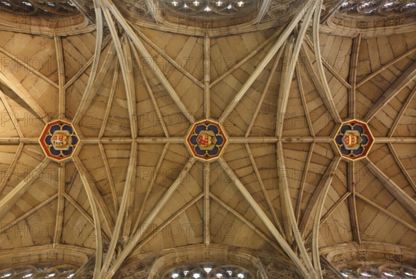 Vault with free-standing ribs, St., Sankt, Saint