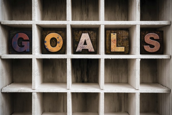 The word GOALS written in vintage ink stained wooden letterpress type in a partitioned printer's drawer