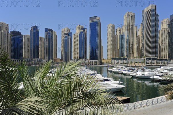Skyscraper at Dubai Marina, Jumeirah, Dubai, United Arab Emirates, Asia