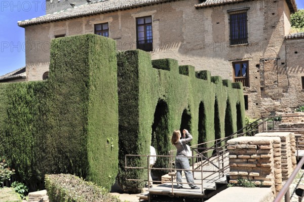 Alhambra, Granada, Andalusia, Spain, People taking pictures during a walk in front of cypresses, Alhambra, Granada, Andalusia, Spain, Europe
