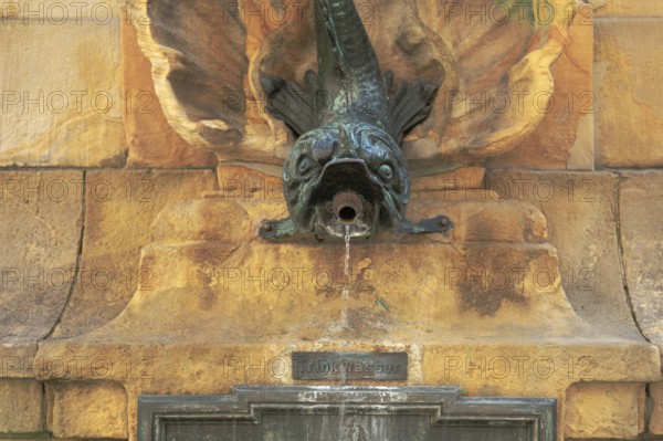 The Alte Angerbrunnen fountain in Erfurt provides drinking water. It is located in the western part of the Anger, the main shopping street and promenade in Erfurt, Thuringia