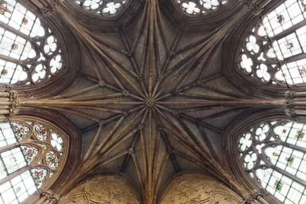 Chapter house, star vault, St., Saint, Saint