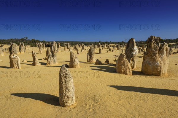 Pinnacles Desert, Nambung National Park, Kalbarri Region, Western Australia, Australia, Oceania