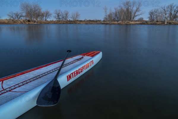 Fort Collins, CO, USA - March 3, 2020: A long racing stand up paddleboard (Mistral Interceptor) on a calm lake at dusk after paddling workout in one of Fort Collins Nature Areas - recreation, training and fitness concept