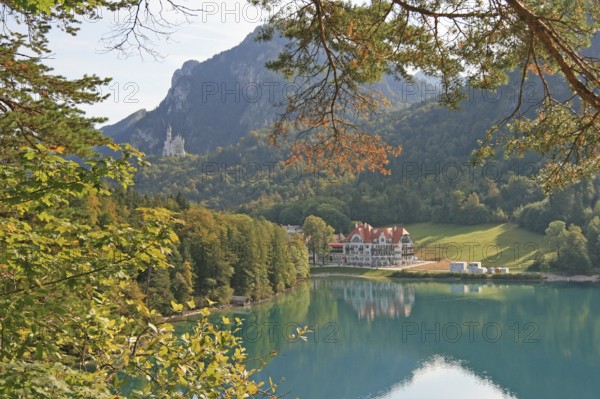 Alpsee, behind Neuschwanstein Castle, near Füssen, Ostallgäu, Swabia, Bavaria, Germany, Europe