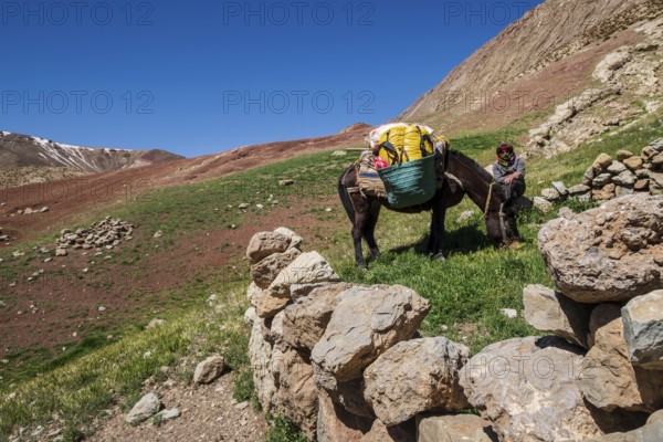 Berber muleteer, Timaratine, MGoun trek, Atlas mountain range, morocco