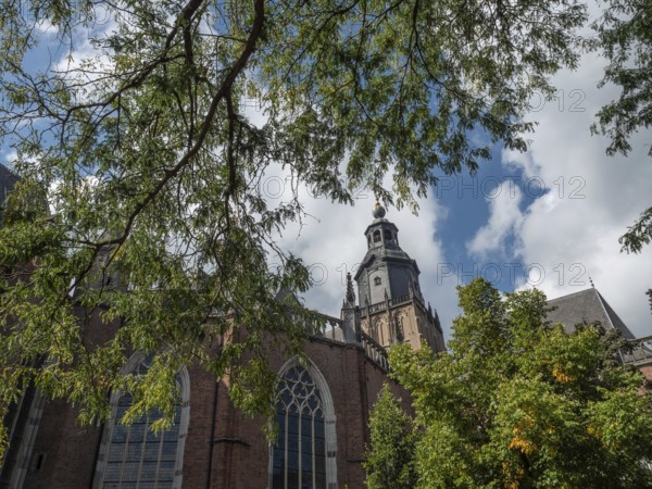 Church tower rises between leaves and clouds, surrounded by green trees, zutphen, gelderland, netherlands