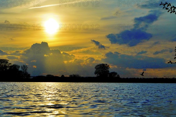 Golden sunrise over a body of water with dramatically illuminated clouds, Polder 27798 Hude-Germany