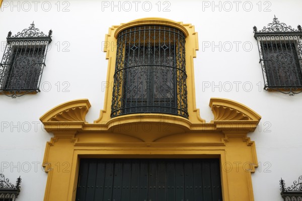 Tipycal facade in seville andalucia spain