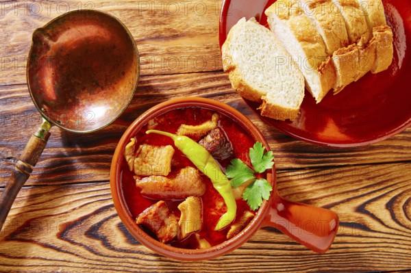 Tapas Callos madrilena typical from Madrid Spain