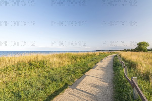 Footpath at the shoreline of the Baltic Sea during scenic evening light in Pottloch in Northern Germany