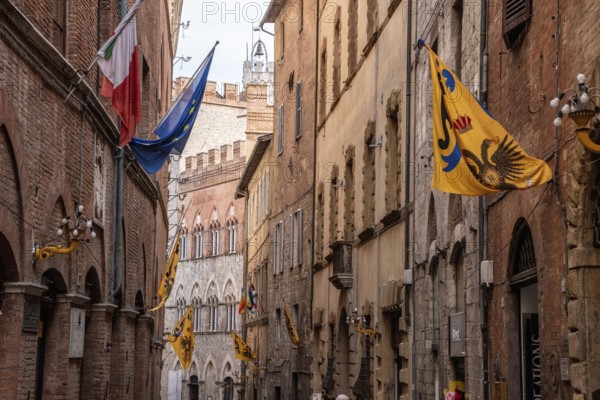 Contrade flags of the Aquila-Eagle district hanging in a street of downtown Siena, Italy, Europe