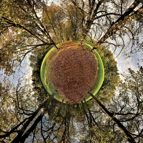 Chestnut avenue Spherical panorama
