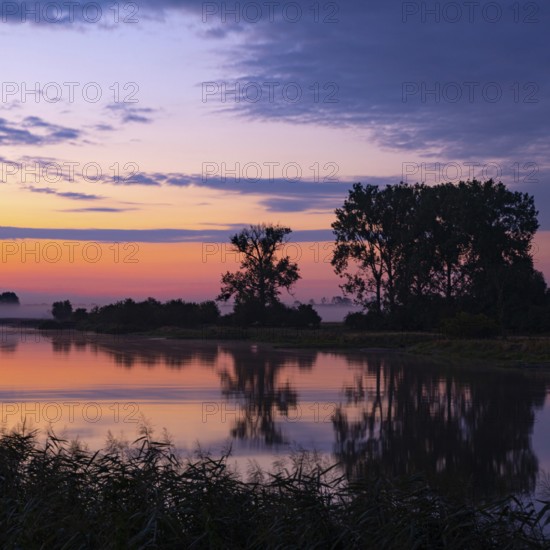 River Warta at dawn