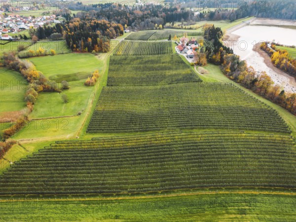 Aerial view of orchard somewhere in the countryside. Apple orchard, covered with protective net