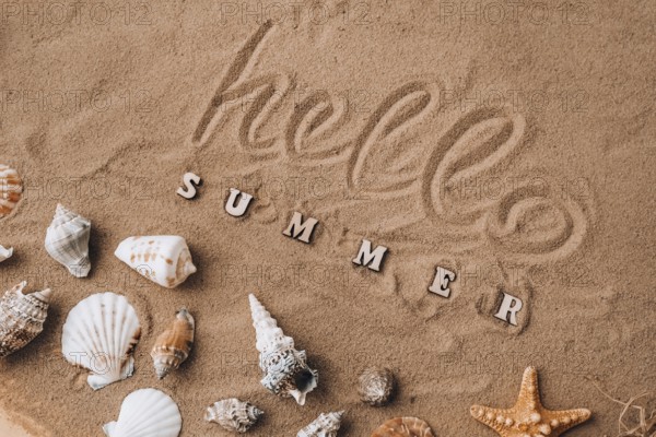 Composition with text HELLO SUMMER seashells, pebbles, mockup on sand background. Blank, top view, still life, flat lay. Sea vacation travel concept tourism and resorts. Summer holidays