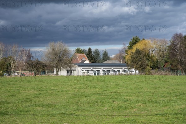 Merchtem, Flemish Brabant Region, Belgium, Feb. 25 2023, Green meadows and glasshouses at a Belgian farm, Europe