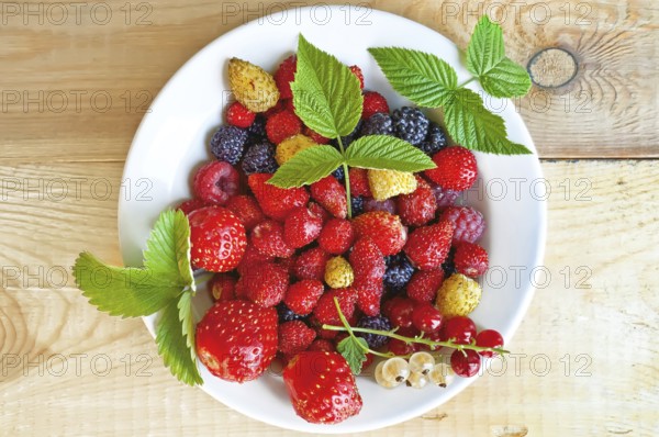 Strawberry, raspberry, blackberry, white and red currant, green leaves of strawberries and raspberry in white bowl on wooden boards