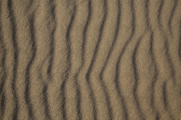 Beach sand dunes texture from California Pacific coast
