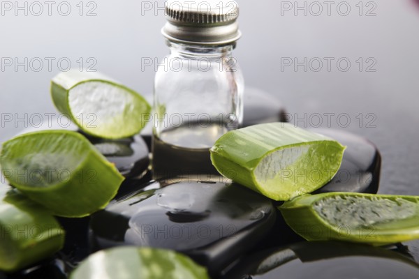 Sliced aloe leaves with oil on the stone, lodz, poland
