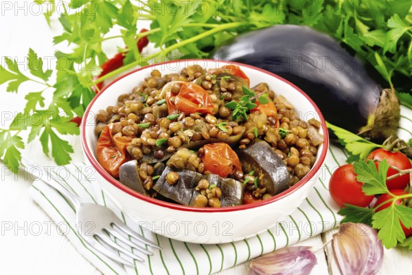 Green lentils stewed with eggplant, tomatoes, garlic and spices in a bowl on a napkin, parsley on wooden board background