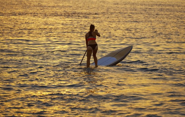 SUP Stand up Surf girl with paddle at sunset
