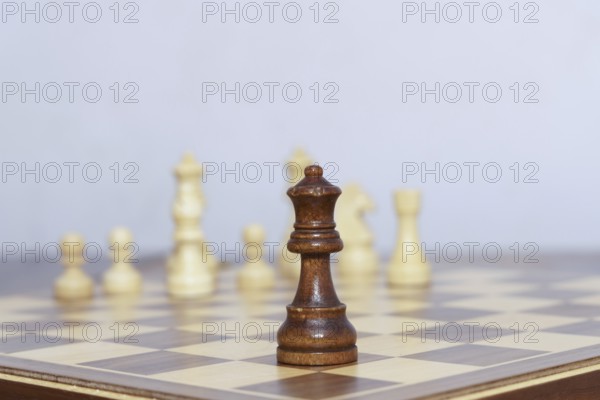 Chess queen piece in the foreground during a game on a white background