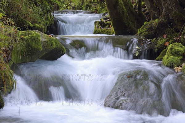 River, terraces, close to nature, Swabian Alb, near Bad Urach