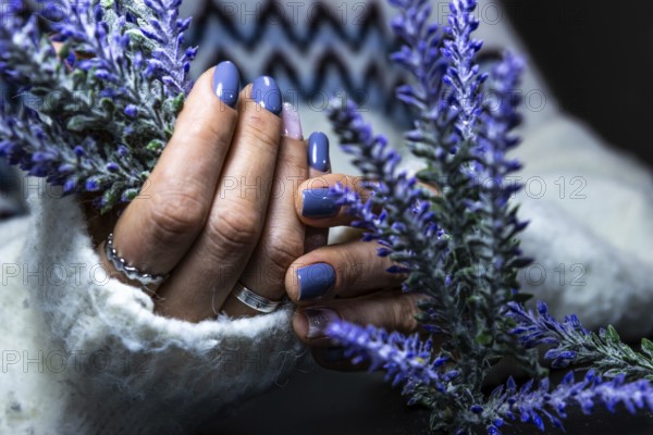 Close-up of hands with blue nails and rings, gently holding a lavender stem, against a textured sweater