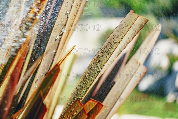 Brown thin leaves in drops of water. Blur.