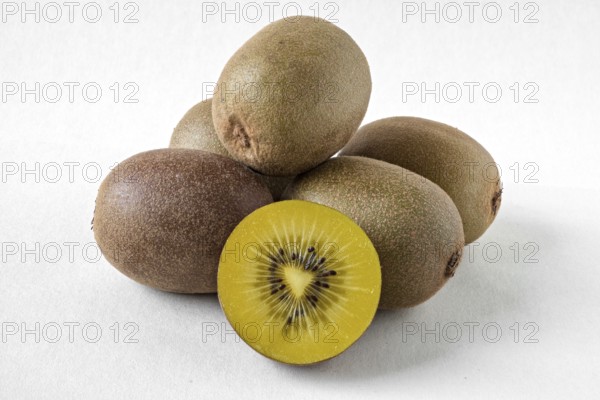 Kiwi fruit on a white background
