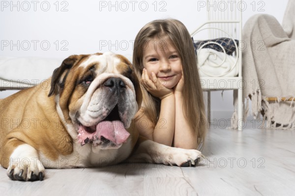 Two dreamy friends, a child and a dog, lie together in the room on the floor next to the bed and are swinging in the clouds. The English Bulldog is a purebred dog with a pedigree